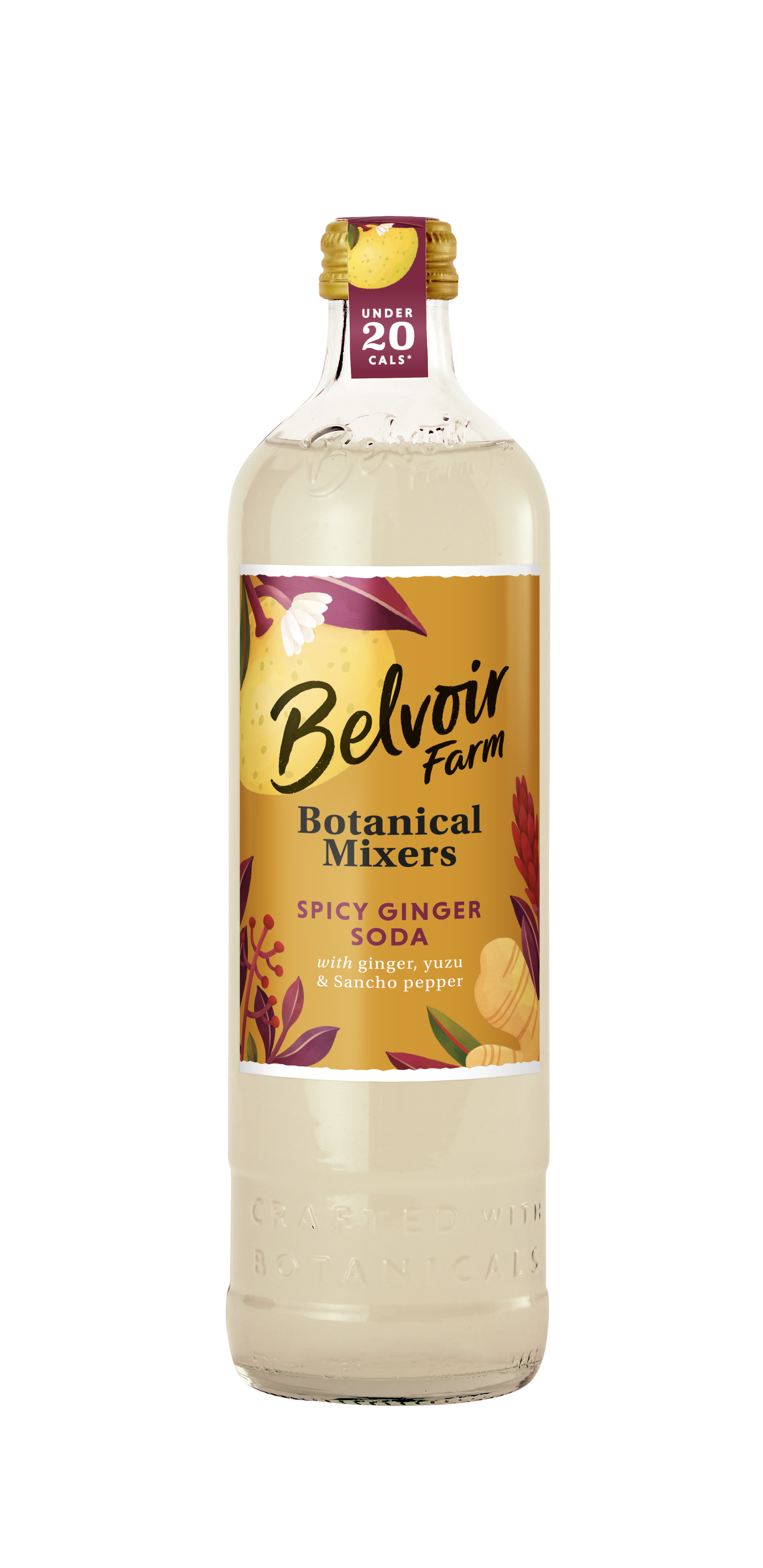 Belvoir Botanical Mixers Spicy Ginger Soda